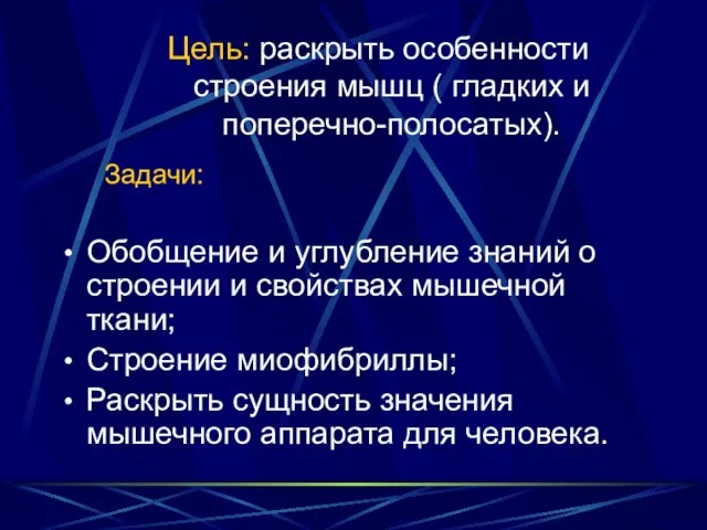 Обобщение и углубление знаний о строении и свойствах мышечной ткани; Строение миофибриллы;