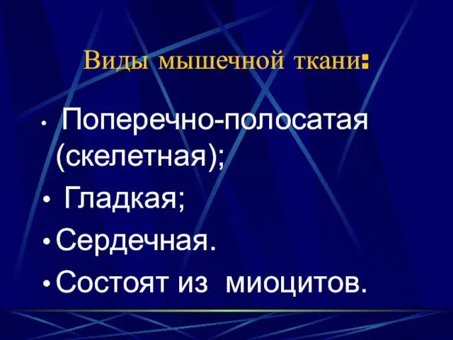 Виды мышечной ткани: Поперечно-полосатая (скелетная); Гладкая; Сердечная. Состоят из миоцитов.