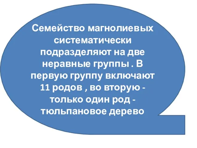 Семейство магнолиевых систематически подразделяют на две неравные группы . В первую группу