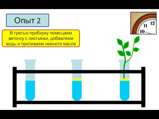 Опыт 2 В первую пробирку добавим немного воды Во вторую пробирку добавим