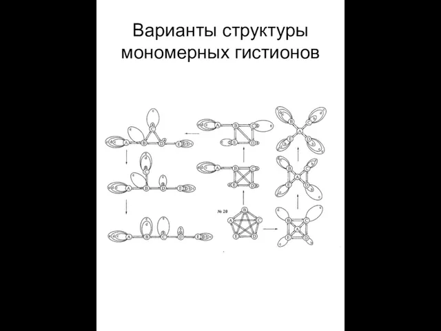 Варианты структуры мономерных гистионов