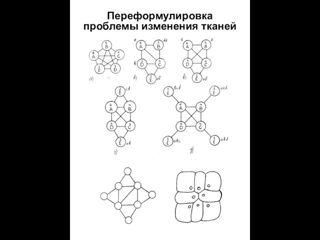 Переформулировка проблемы изменения тканей