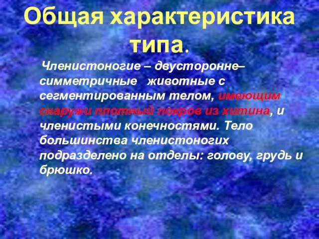 Общая характеристика типа. Членистоногие – двусторонне–симметричные животные с сегментированным телом, имеющим снаружи