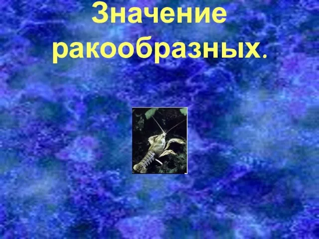 Значение ракообразных.