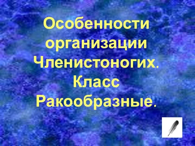 Особенности организации Членистоногих. Класс Ракообразные.