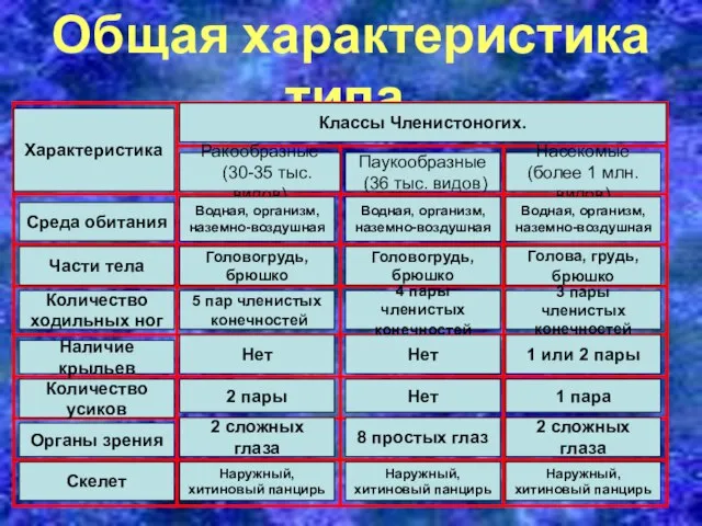 Общая характеристика типа. Характеристика Классы Членистоногих. Ракообразные (30-35 тыс. видов) Паукообразные (36