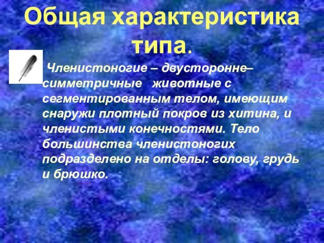 Общая характеристика типа. Членистоногие – двусторонне–симметричные животные с сегментированным телом, имеющим снаружи