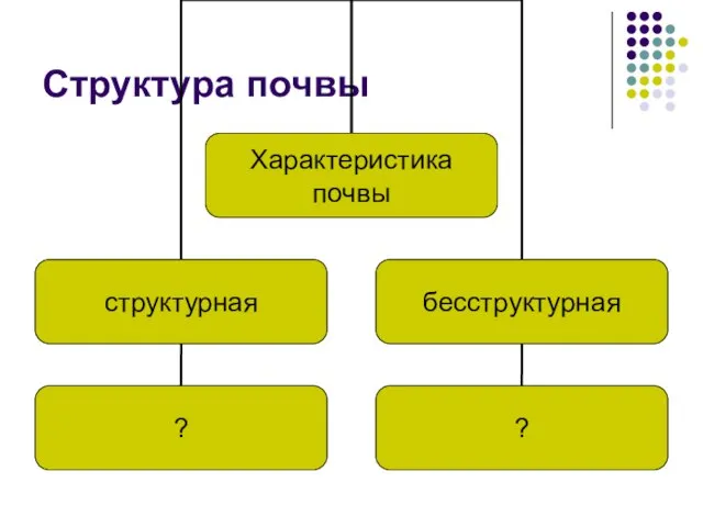 Структура почвы