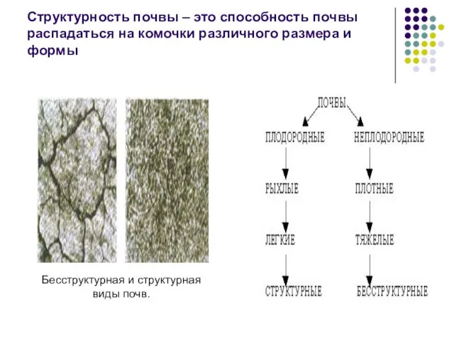 Структурность почвы – это способность почвы распадаться на комочки различного размера и