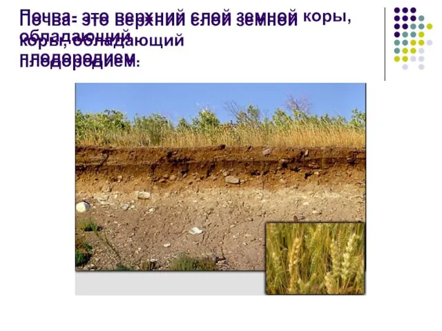 Почва- это верхний слой земной коры, обладающий плодородием. Почва- это верхний слой земной коры, обладающий плодородием.
