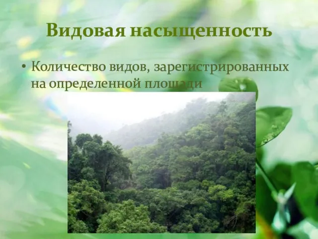 Видовая насыщенность Количество видов, зарегистрированных на определенной площади