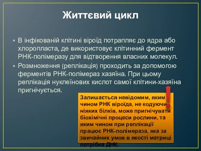 Життєвий цикл В інфікованій клітині віроїд потрапляє до ядра або хлоропласта, де