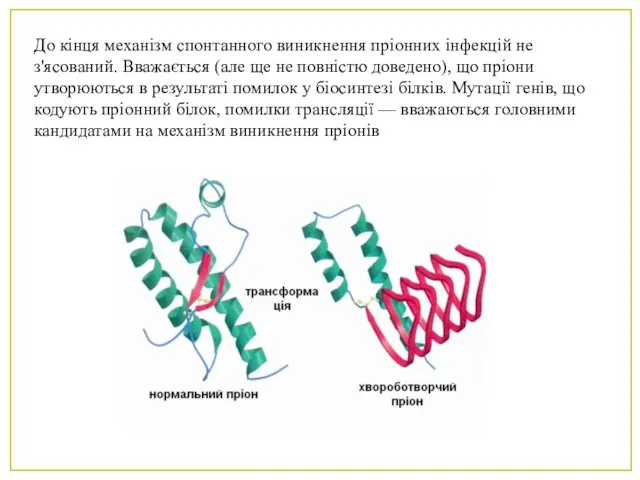 До кінця механізм спонтанного виникнення пріонних інфекцій не з'ясований. Вважається (але ще