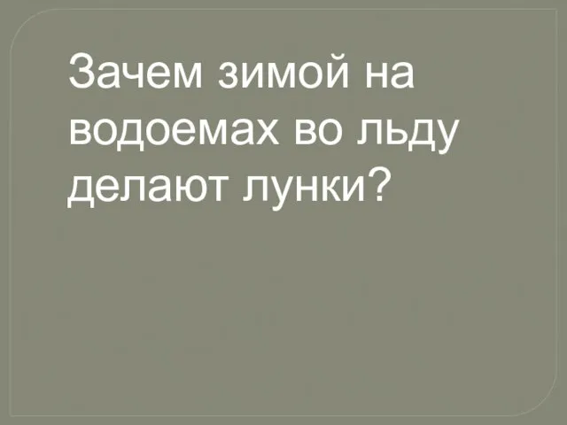 Зачем зимой на водоемах во льду делают лунки?