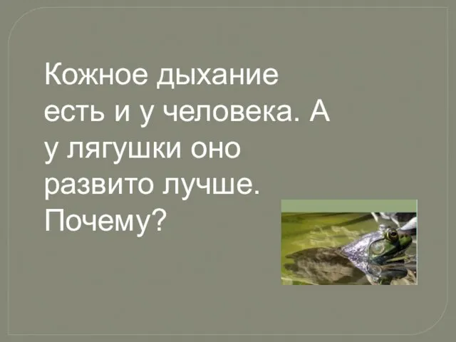 Кожное дыхание есть и у человека. А у лягушки оно развито лучше. Почему?