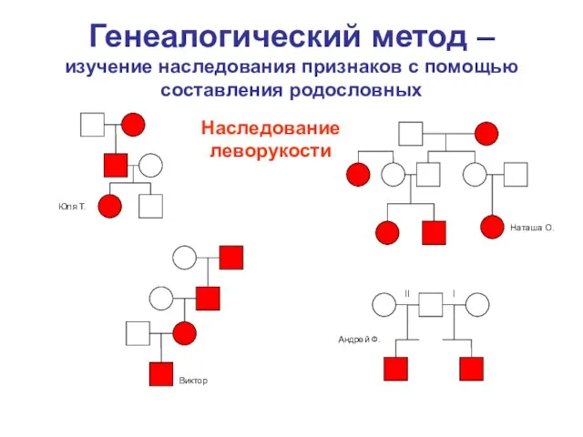 Генеалогический метод – изучение наследования признаков с помощью составления родословных Наследование леворукости