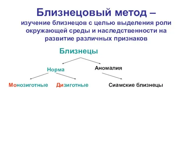 Близнецовый метод – изучение близнецов с целью выделения роли окружающей среды и