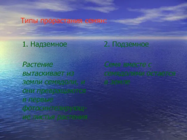 Типы прорастания семян: 1. Надземное Растение вытаскивает из земли семядоли, и они