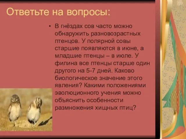 Ответьте на вопросы: В гнёздах сов часто можно обнаружить разновозрастных птенцов. У