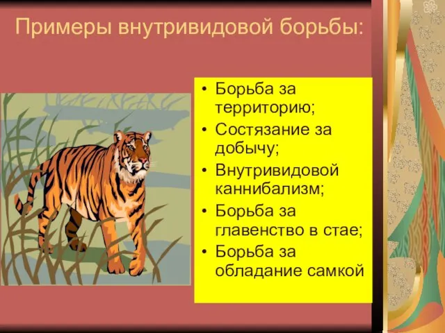 Примеры внутривидовой борьбы: Борьба за территорию; Состязание за добычу; Внутривидовой каннибализм; Борьба