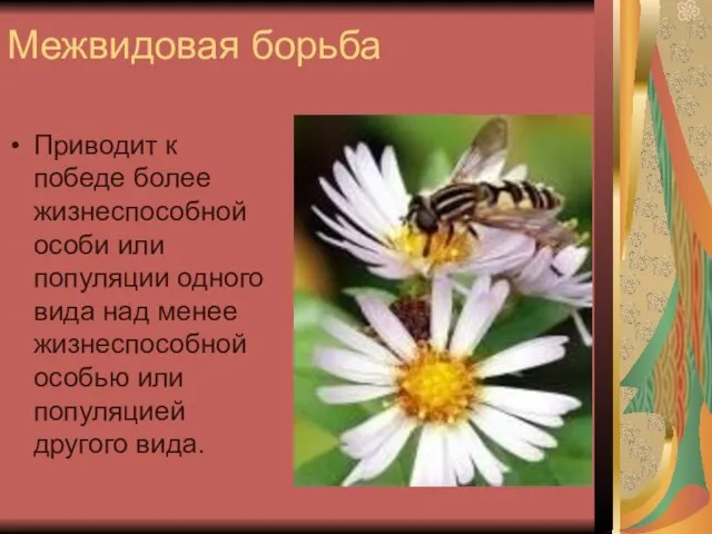 Межвидовая борьба Приводит к победе более жизнеспособной особи или популяции одного вида