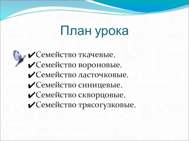 План урока Семейство ткачевые. Семейство вороновые. Семейство ласточковые. Семейство синицевые. Семейство скворцовые. Семейство трясогузковые.