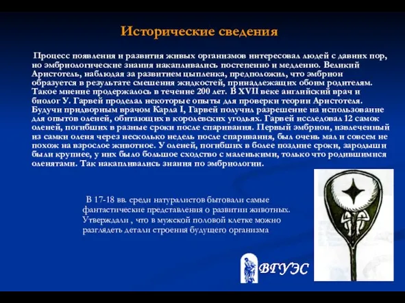 Исторические сведения В 17-18 вв. среди натуралистов бытовали самые фантастические представления о