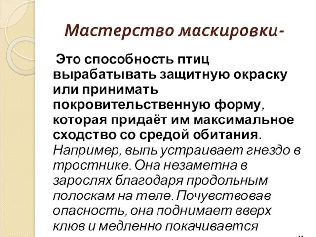 Мастерство маскировки- Это способность птиц вырабатывать защитную окраску или принимать покровительственную форму,