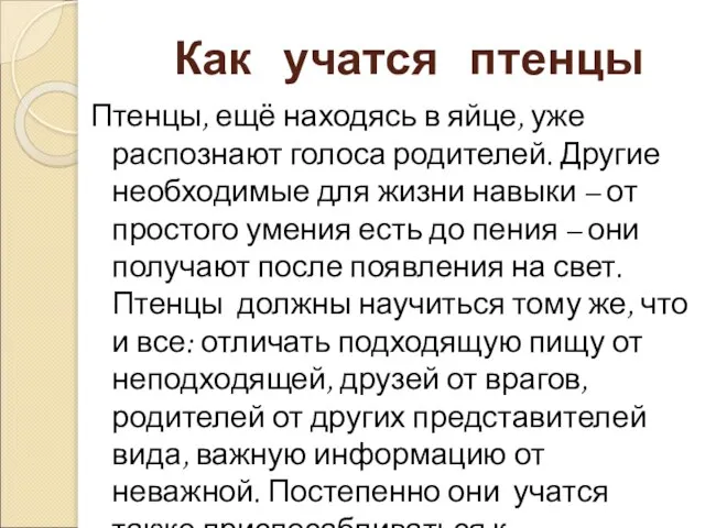 Как учатся птенцы Птенцы, ещё находясь в яйце, уже распознают голоса родителей.