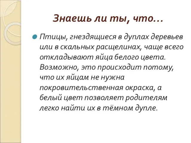 Знаешь ли ты, что… Птицы, гнездящиеся в дуплах деревьев или в скальных