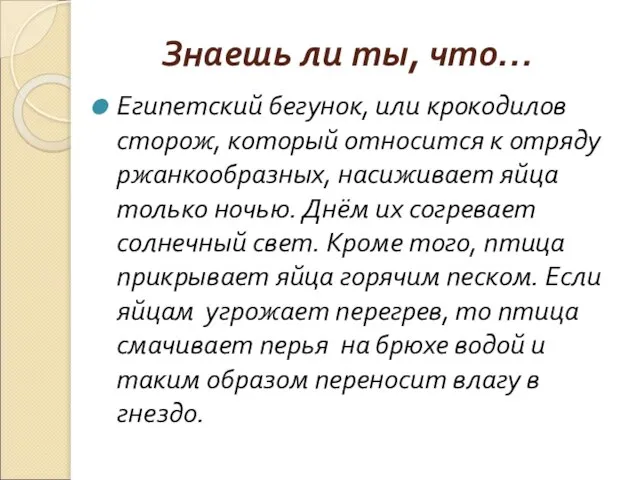 Знаешь ли ты, что… Египетский бегунок, или крокодилов сторож, который относится к