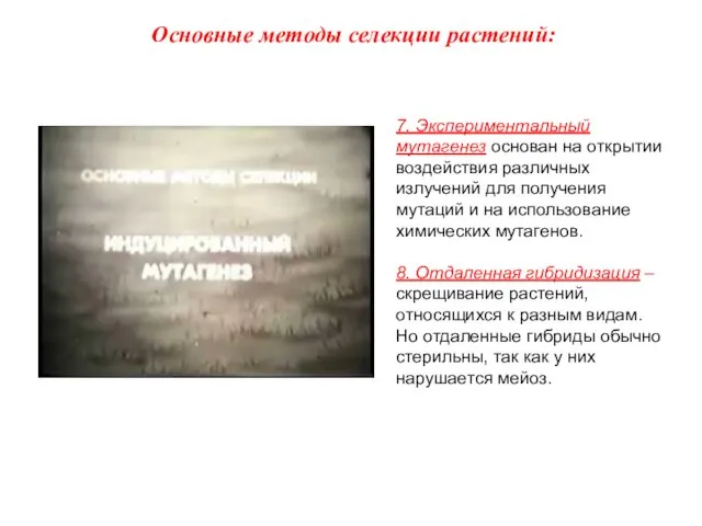 7. Экспериментальный мутагенез основан на открытии воздействия различных излучений для получения мутаций