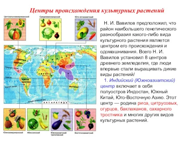 Н. И. Вавилов предположил, что район наибольшего генетического разнообразия какого-либо вида культурного