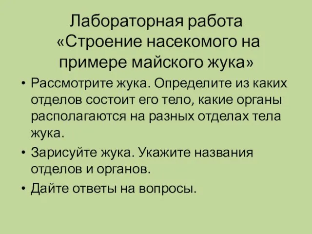 Лабораторная работа «Строение насекомого на примере майского жука» Рассмотрите жука. Определите из