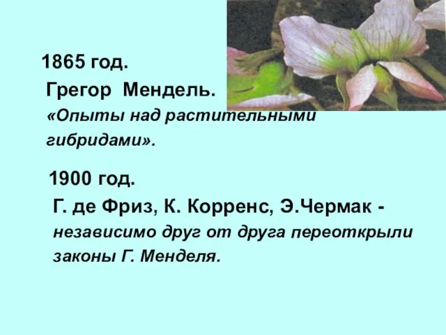 1865 год. Грегор Мендель. «Опыты над растительными гибридами». 1900 год. Г. де