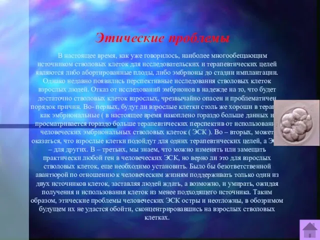 Этические проблемы В настоящее время, как уже говорилось, наиболее многообещающим источником стволовых