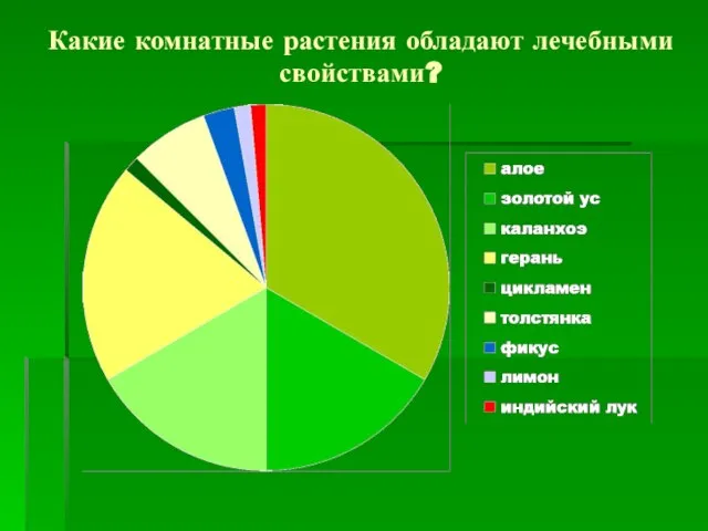 Какие комнатные растения обладают лечебными свойствами?