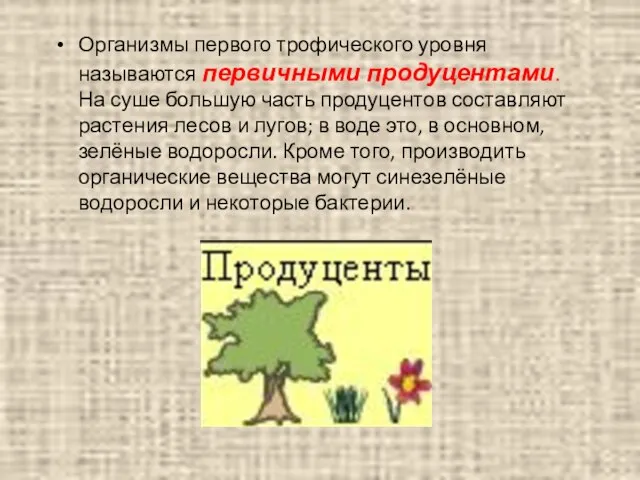 Организмы первого трофического уровня называются первичными продуцентами. На суше большую часть продуцентов