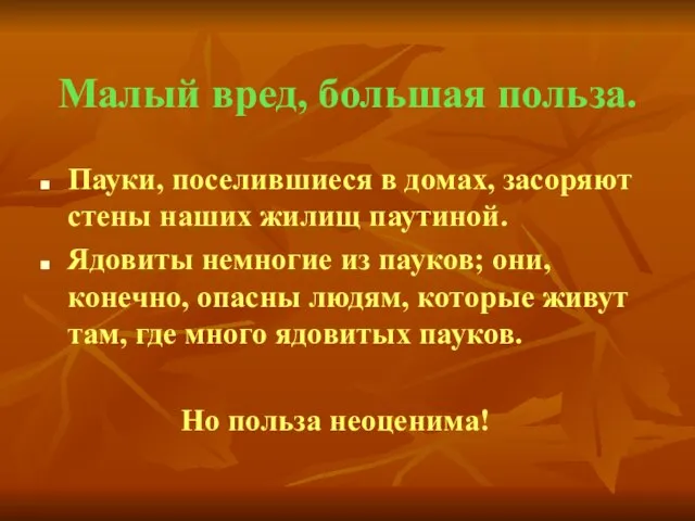 Малый вред, большая польза. Пауки, поселившиеся в домах, засоряют стены наших жилищ