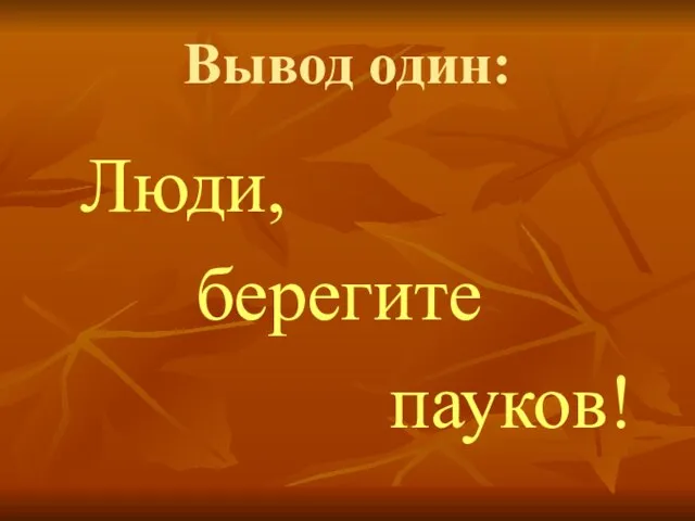 Вывод один: Люди, берегите пауков!