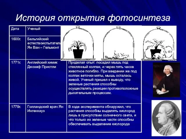 История открытия фотосинтеза