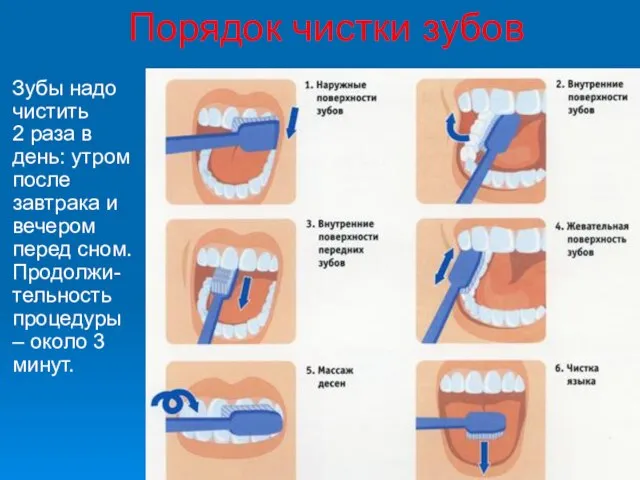 Порядок чистки зубов Зубы надо чистить 2 раза в день: утром после