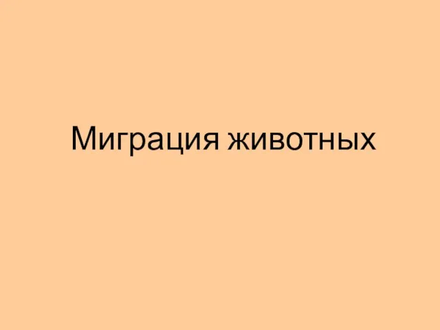 Миграция животных