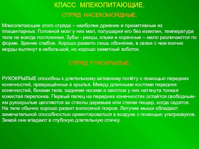 КЛАСС МЛЕКОПИТАЮЩИЕ. ОТРЯД НАСЕКОМОЯДНЫЕ. Мпекопитающие этого отряда – наиболее древние и примитивные