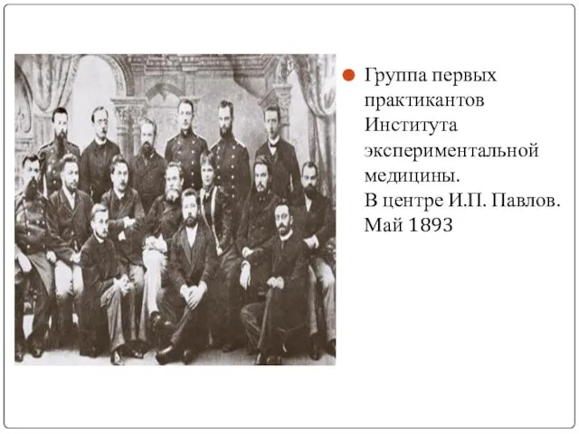 Группа первых практикантов Института экспериментальной медицины. В центре И.П. Павлов. Май 1893