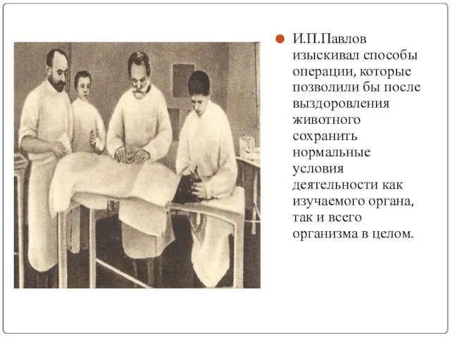И.П.Павлов изыскивал способы операции, которые позволили бы после выздоровления животного сохранить нормальные