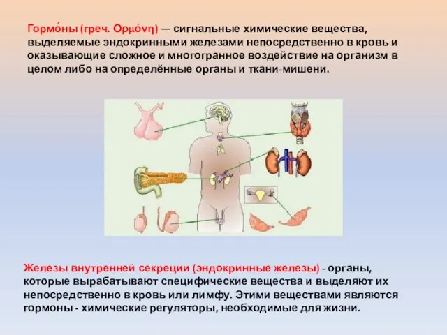 Гормо́ны (греч. Ορμόνη) — сигнальные химические вещества, выделяемые эндокринными железами непосредственно в