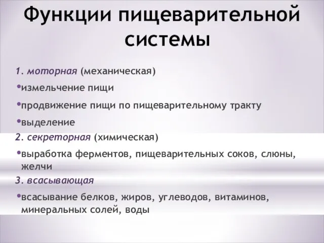 Функции пищеварительной системы 1. моторная (механическая) измельчение пищи продвижение пищи по пищеварительному