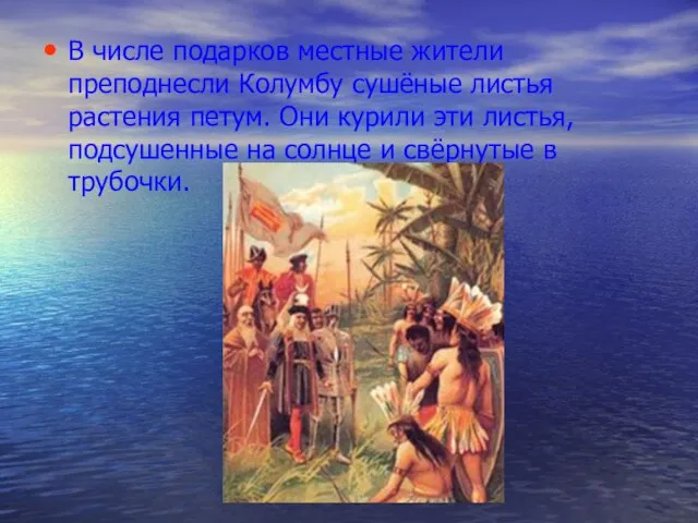 В числе подарков местные жители преподнесли Колумбу сушёные листья растения петум. Они