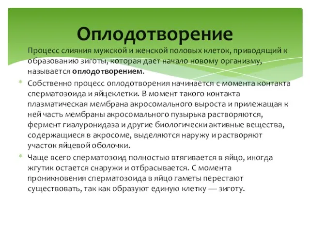 Процесс слияния мужской и женской половых клеток, приводящий к образованию зиготы, которая